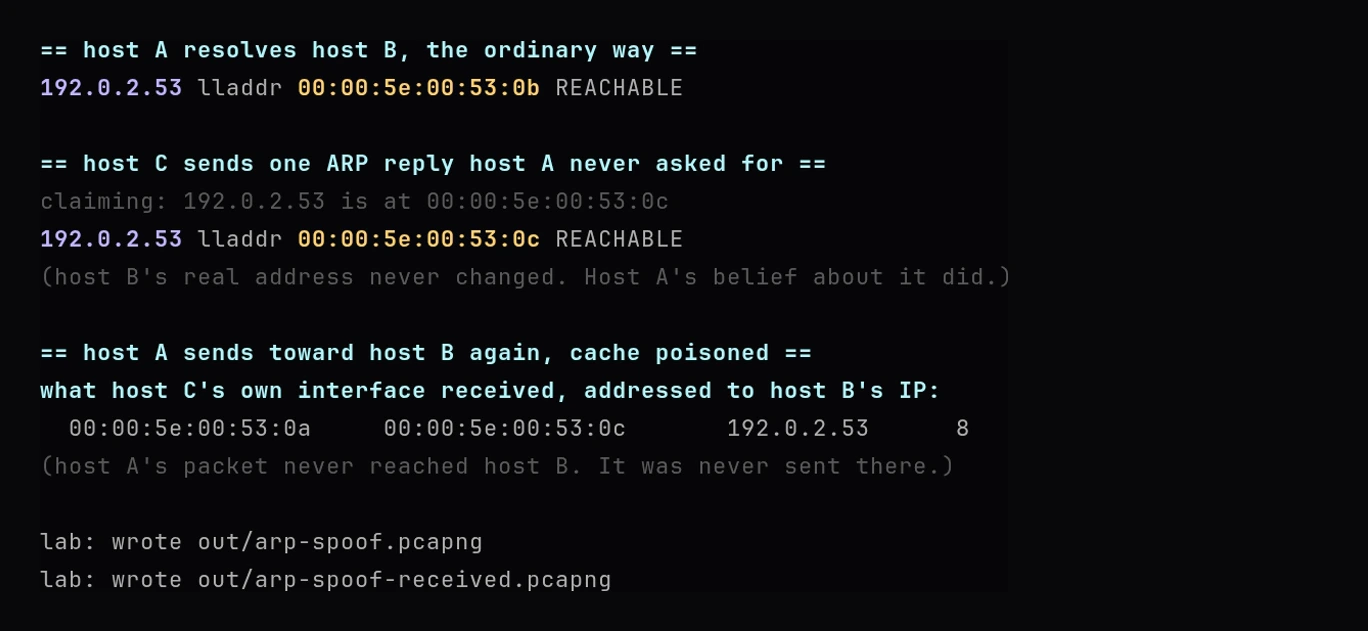 Terminal output of arpspoof.sh: host A resolves host B normally and the cache shows the real MAC address 00:00:5e:00:53:0b, then host C sends one ARP reply host A never asked for claiming 192.0.2.53 is at 00:00:5e:00:53:0c, and the cache now shows that MAC address instead, then host A sends toward host B again and the frame is captured arriving at host C's own interface, addressed to host B's IP