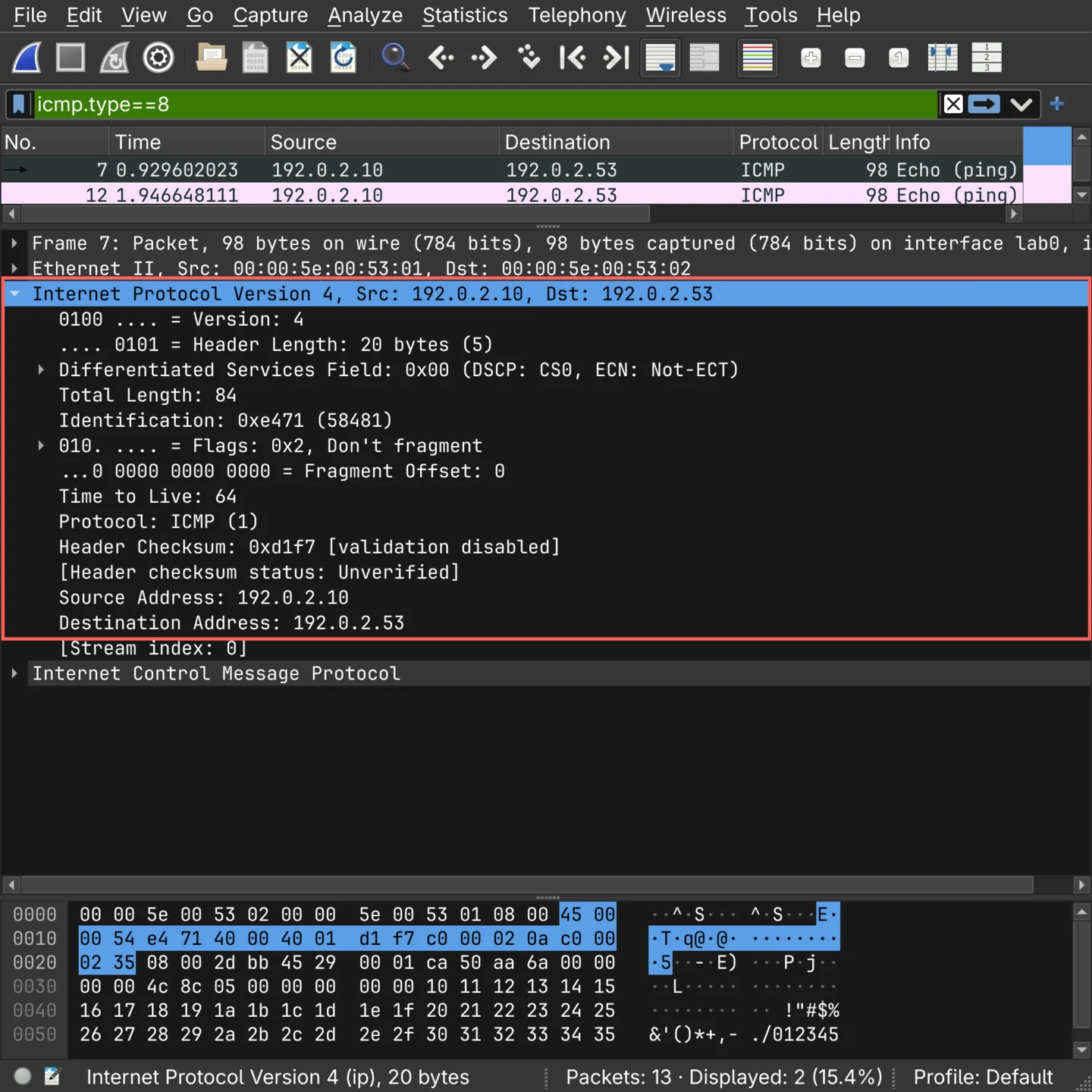 Wireshark showing an ICMP echo request's Internet Protocol Version 4 layer fully expanded, marked in red: Version 4, Header Length 20 bytes, Differentiated Services Field 0x00, Total Length 84, Identification 0xe471, Flags 0x2 Don't fragment, Fragment Offset 0, Time to Live 64, Protocol ICMP, Header Checksum 0xd1f7, Source Address 192.0.2.10, Destination Address 192.0.2.53
