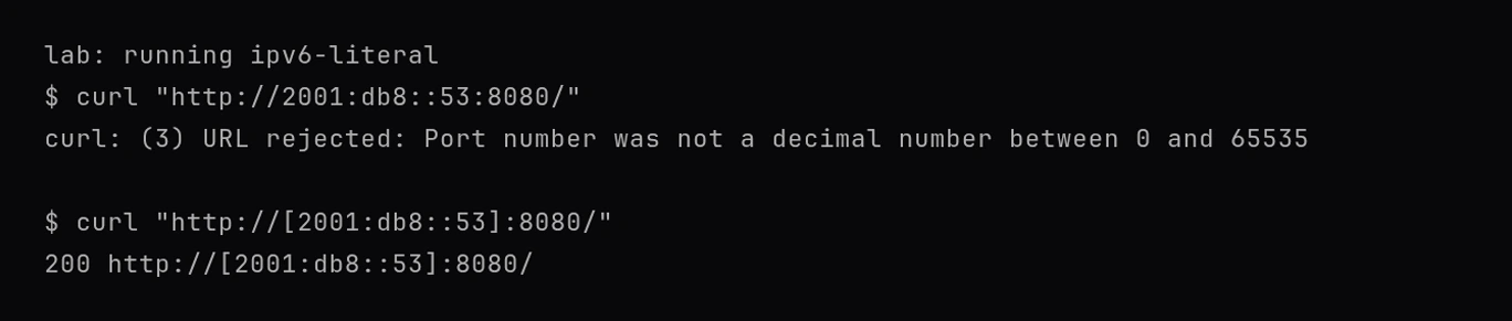 Terminal output of two curl attempts. The first, without brackets, fails immediately: curl: (3) URL rejected: Port number was not a decimal number between 0 and 65535. The second, with the address wrapped in square brackets, succeeds: 200 http://[2001:db8::53]:8080/