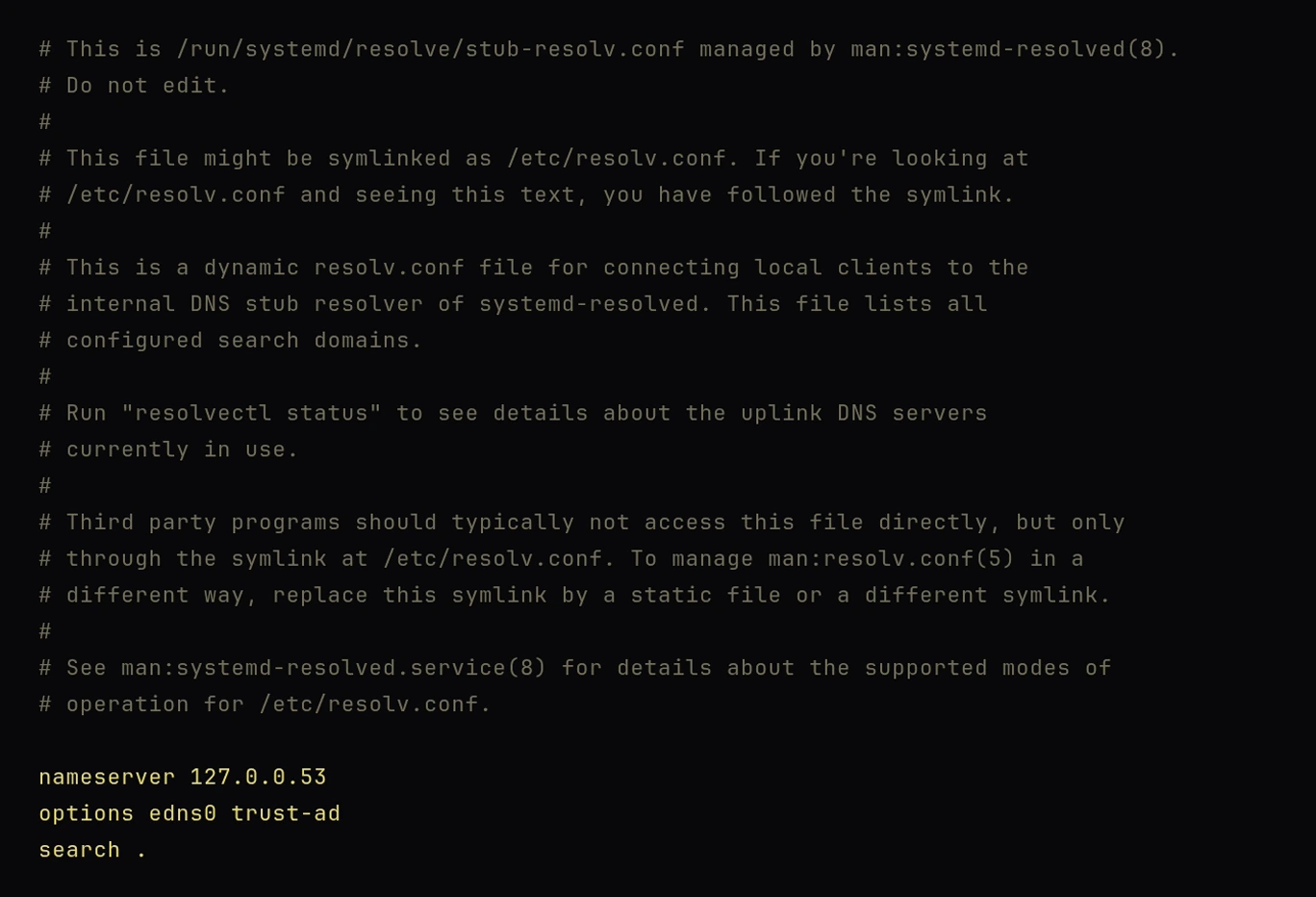 /etc/resolv.conf: a comment block explaining it is managed by systemd-resolved, then nameserver 127.0.0.53 and options edns0 trust-ad