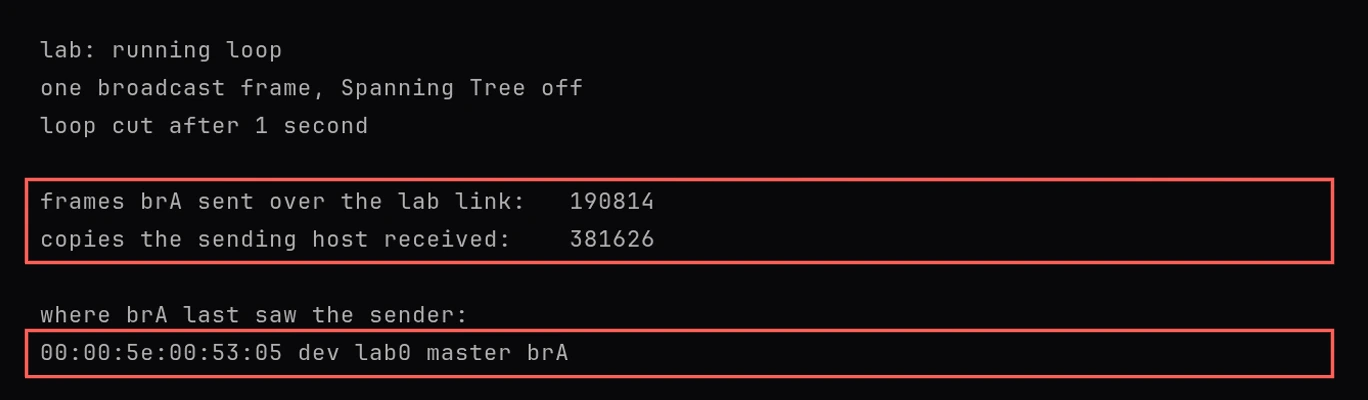 Terminal output of the lab's loop scenario: one broadcast frame is sent with Spanning Tree off and the loop is cut after 1 second. brA sent 190814 frames over the lab link, the sending host received 381626 copies, and brA's forwarding table shows the sender's address 00:00:5e:00:53:05 on port lab0. Red callouts mark the two counts and the forwarding table line